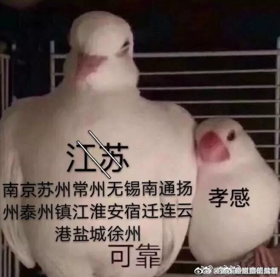 QQ截图20200208131659.png