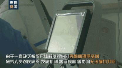 3.gif